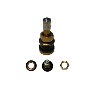Brass valve stem designed for adding air to tanks using an air compressor, with a durable and compact design.